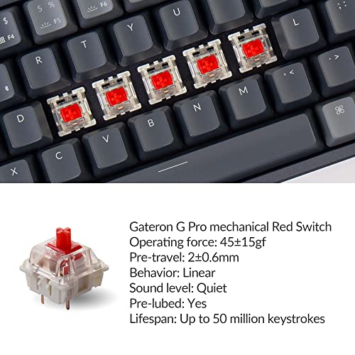 Keychron K14 70% Disposition 72 Touches Bluetooth – Image 2
