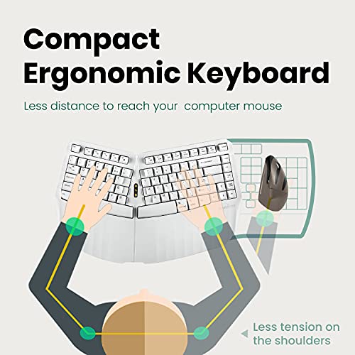 Perixx PERIBOARD-613W Mini clavier divisé ergonomique sans – Image 2