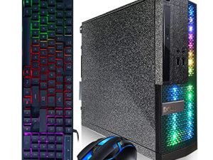 Ordinateur de bureau Dell PC Treasure Box