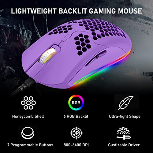 6 souris