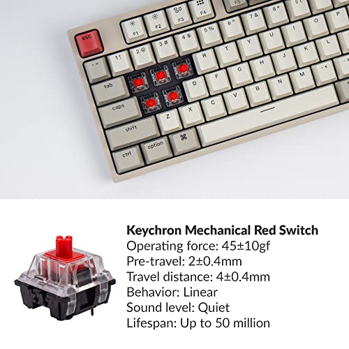 Keychron C1 Tenkeyless Disposition 87 Touches Clavier-2