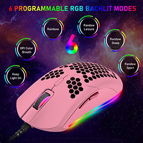 6 souris