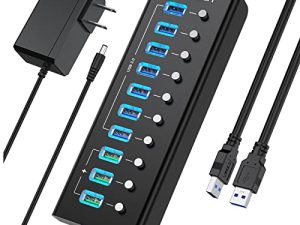 Rybozen Hub USB alimenté à 10 ports