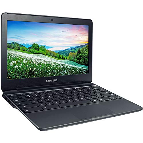 Intel Dual-Core Celeron