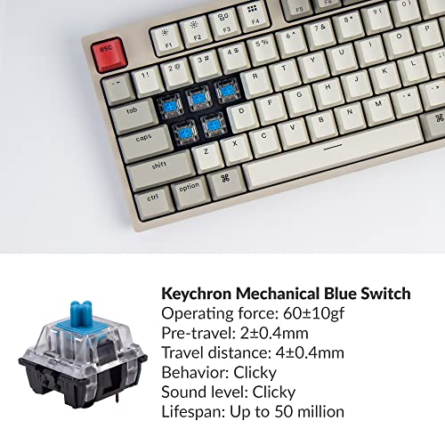 Keychron C1 Tenkeyless Disposition 87 Touches Clavier-2