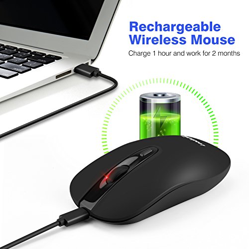 souris
