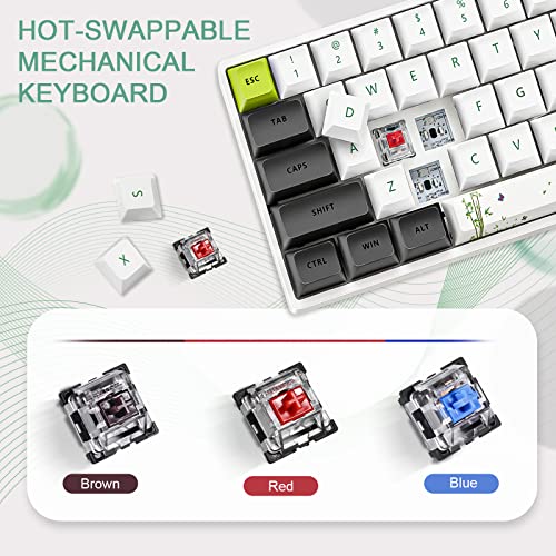 Clavier de jeu mécanique CHARAN SK61 61-2