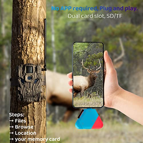 Lecteur de carte SD/TF 3 en 1 – Image 2