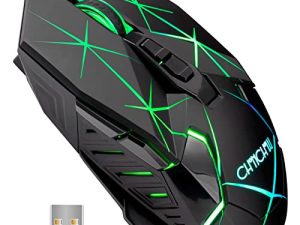 Souris sans fil pour ordinateur portable Souris