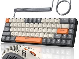 ZIYOU LANG RK-T8PR0 Ensemble clavier et souris