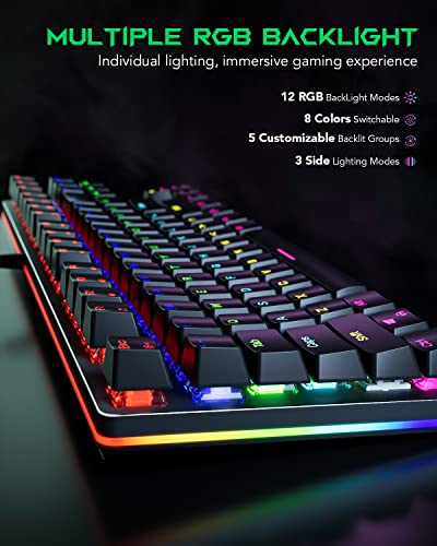 Clavier de jeu mécanique Black Shark RVB-2