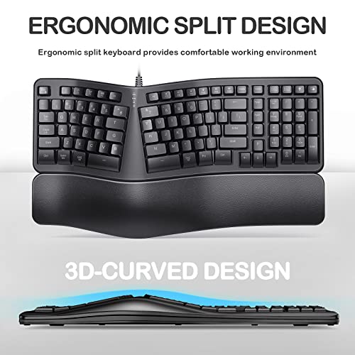 TANNSEN Clavier ergonomique filaire rétroéclairé USB Split-2