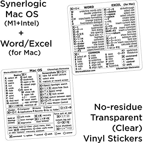 SYNERLOGIC Mac OS (M/Intel) + Word/Excel (pour-2