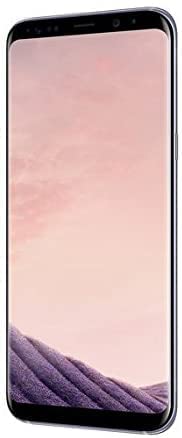 Samsung Galaxy S8 Plus 64 Go Gris-5