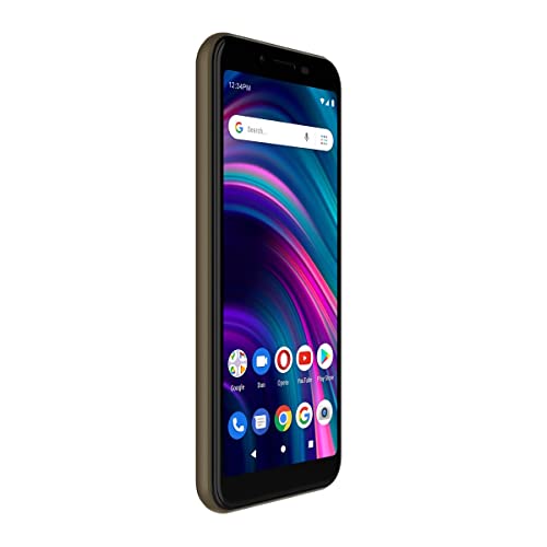 BLEU C5L Max | 2022 | Batterie-3