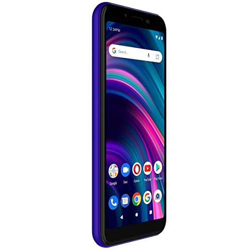 BLEU C5L Max | 2022 | Batterie-3