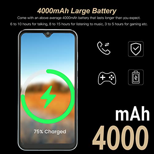 Pro Max Smartphone Unlock 4G