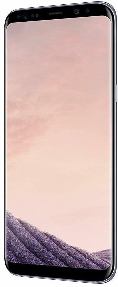 Samsung Galaxy S8 Plus 64 Go Gris-4