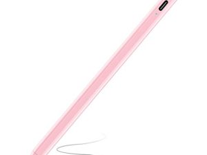 Stylet pour iPad avec rejet de paume