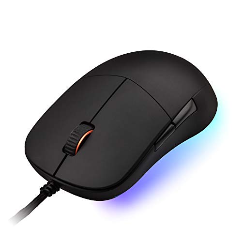 Souris-2