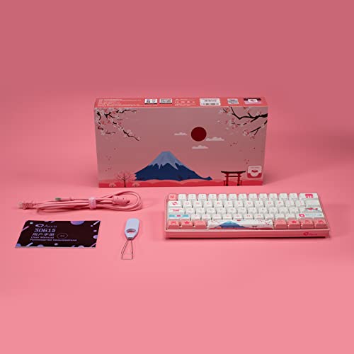 Akko World Tour Tokyo 3061S 60% Clavier-5