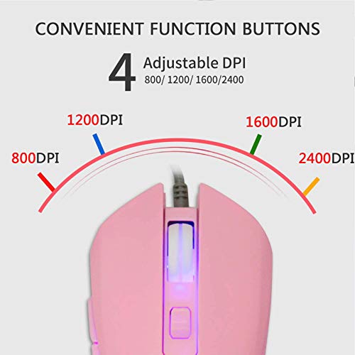 IULONEE Souris Filaire USB Type C