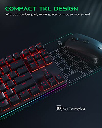 Clavier de jeu mécanique Black Shark RVB-3