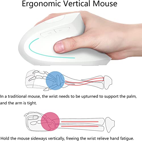 Souris verticale