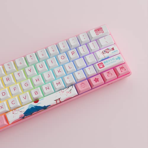 Akko World Tour Tokyo 3061S 60% Clavier-3