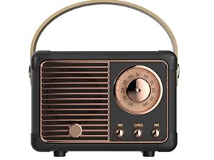 Dosmix Haut-parleur Bluetooth rétro