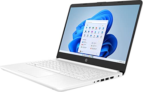 Écran HP Stream 14 pouces HD
