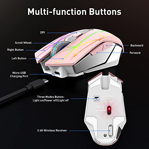 souris-2