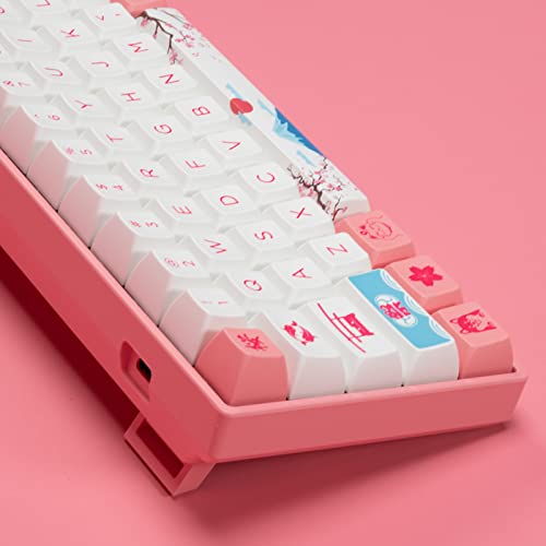 Akko World Tour Tokyo 3061S 60% Clavier-4