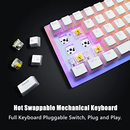 XVX Womier K61 Clavier filaire 60 %-3
