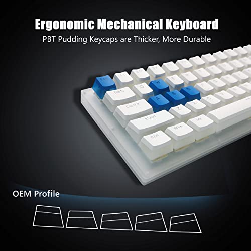 XVX Womier K61 Clavier filaire 60 %-5
