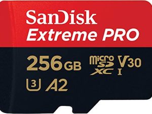 Carte SanDisk 256 Go Extreme PRO® microSD™
