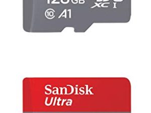Carte mémoire SanDisk 128 Go X2 (256