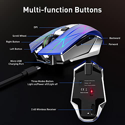 souris-2