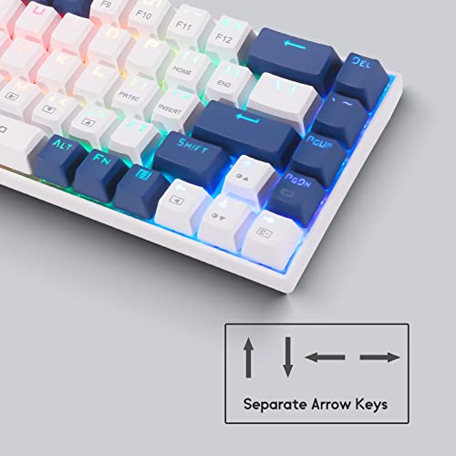HUO JI 65% RGB Gaming Keyboard