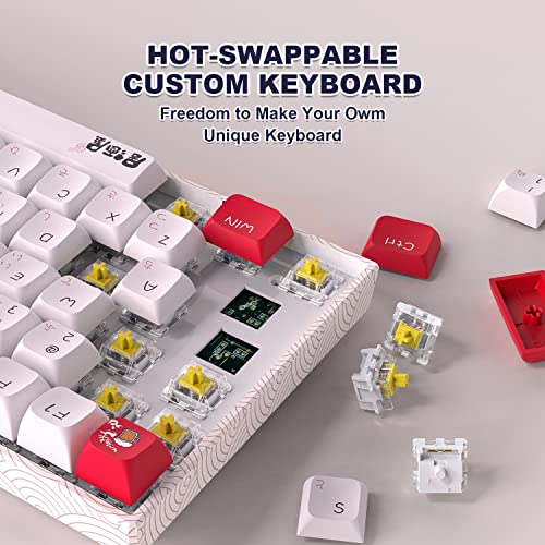 COSTOM XVX M84 Clavier mécanique sans fil-3