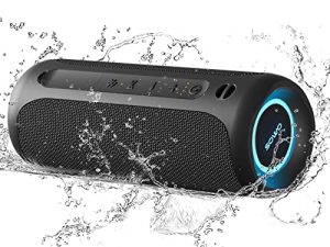 Haut-parleur portable