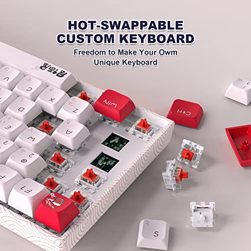 COSTOM XVX M84 Clavier mécanique sans fil-3