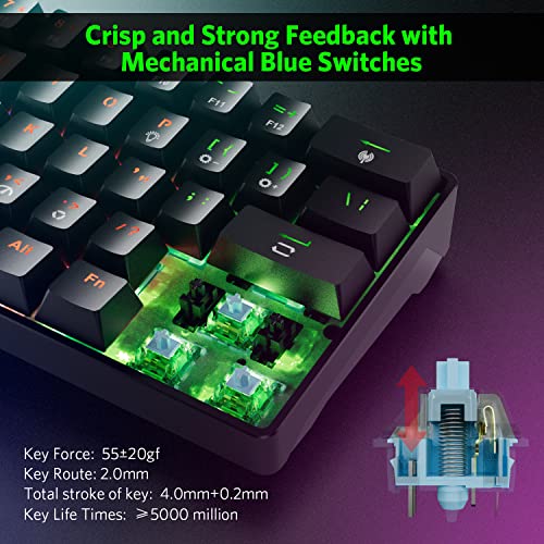 Fiodio 61 Touches RVB Filaire Clavier de-5