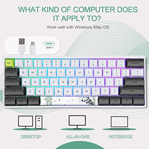 Clavier de jeu mécanique CHARAN SK61 61-5