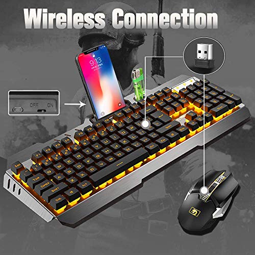 souris sans-2