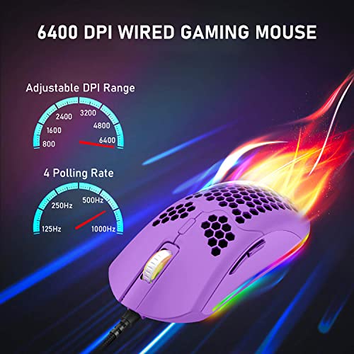 6 souris-2