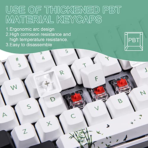 Clavier de jeu mécanique CHARAN SK61 61-4