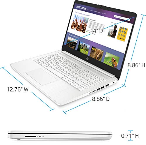 Ordinateur portable léger HP 14" le plus-3