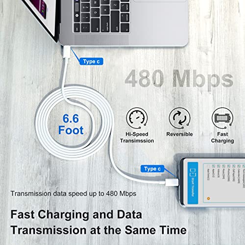 Lot de 2 câbles USB C vers-3