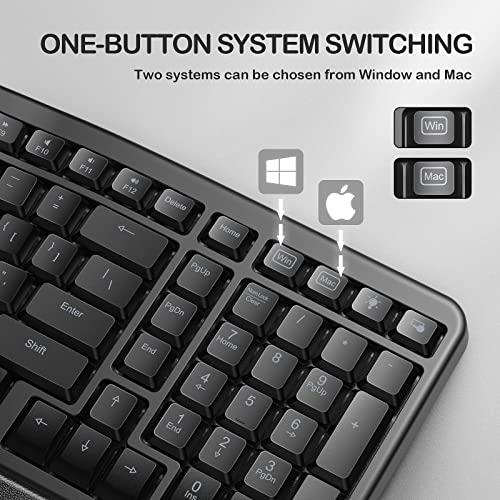 TANNSEN Clavier ergonomique filaire rétroéclairé USB Split-3